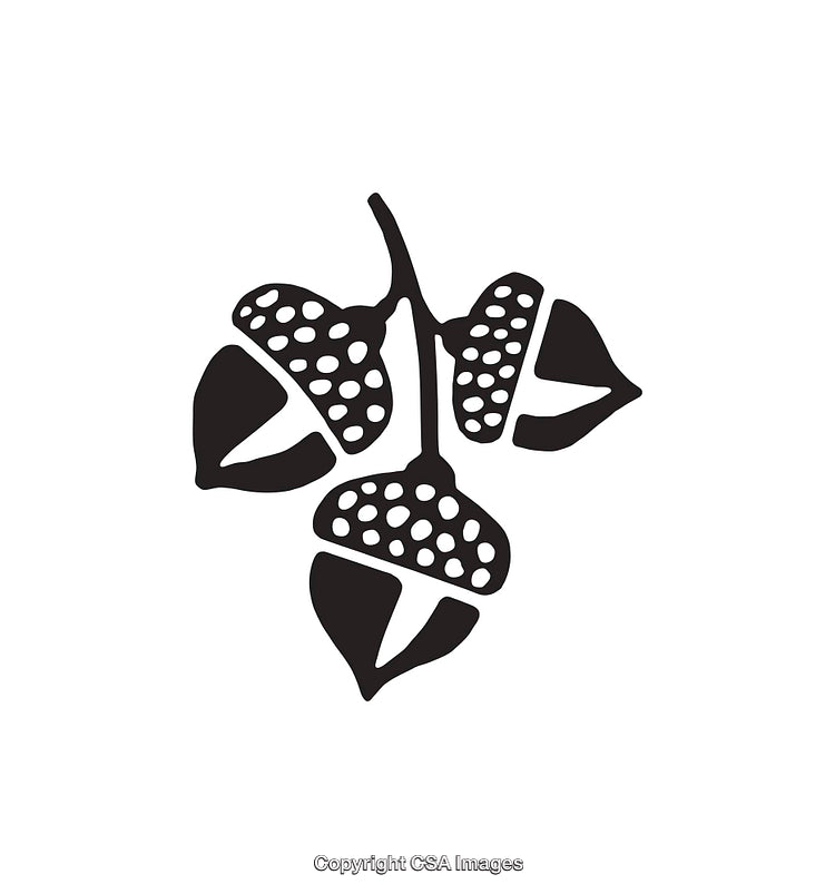 Simple Black and White Stylized Acorn Icon Design