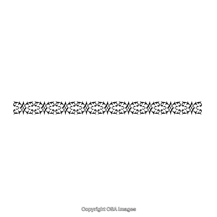 Elegant Black And White Ornamental Decorative Border Design