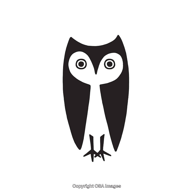Minimalist Black And White Owl Line Art Illustration