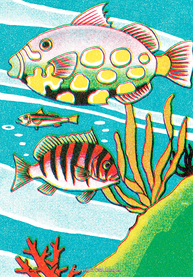 Colorful Illustrated Underwater Scene Featuring Tropical Fish and Coral Reefs