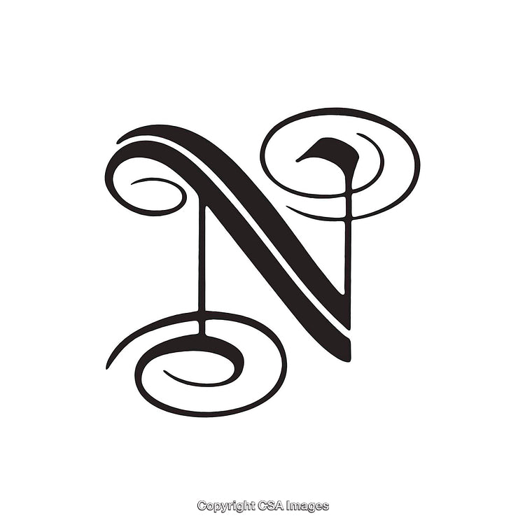 Elegant Decorative Letter N Script Calligraphy on White Background