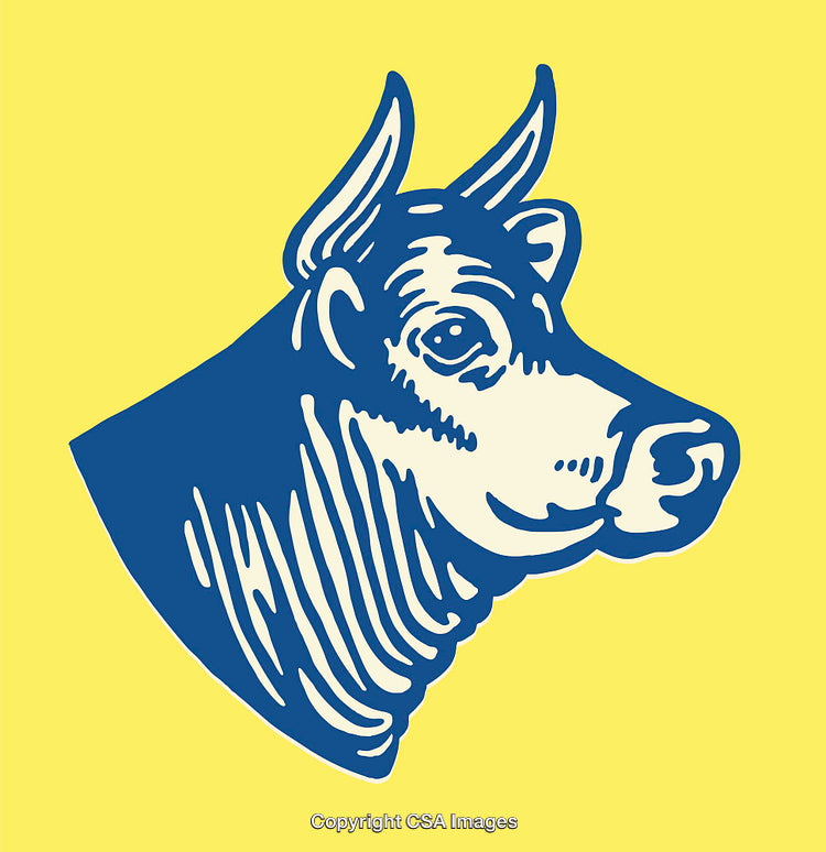 Stylized Color Illustration of a Bull's Head in Vibrant Design
