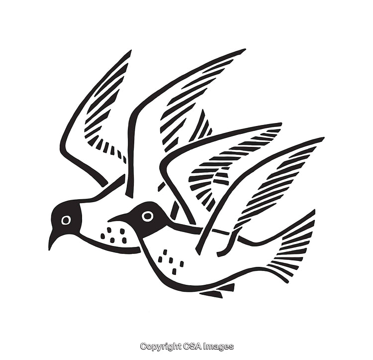 Simplistic Black and White Illustration of Two Birds in Flight