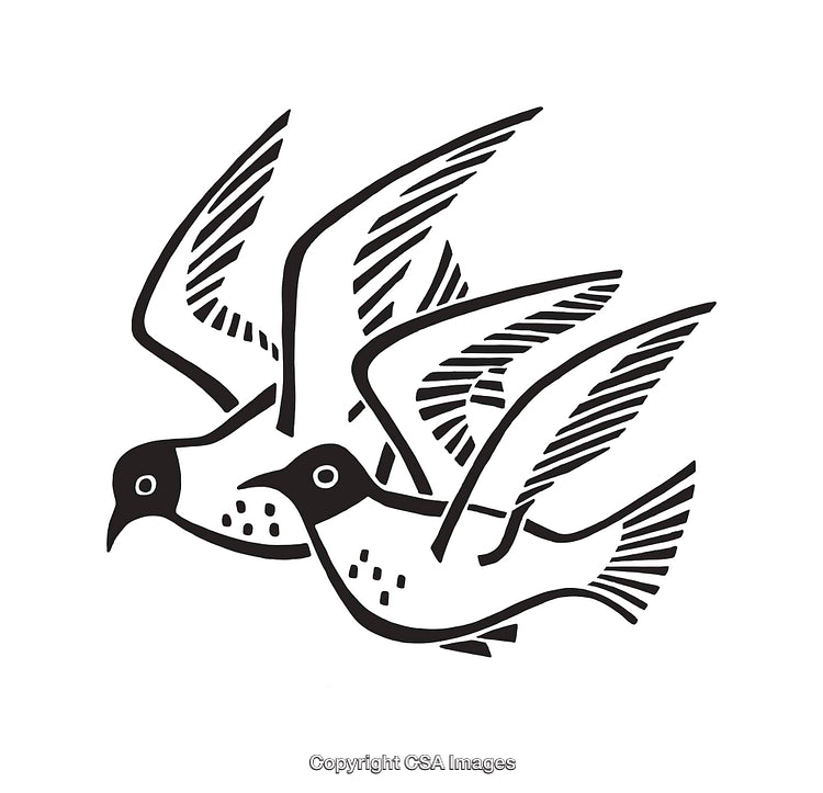 Simplistic Black and White Illustration of Two Birds in Flight