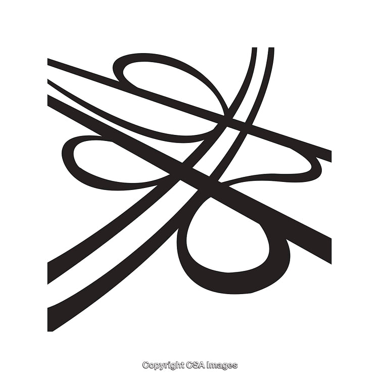 Abstract Black and White Line Art With Fluid Shapes and Elements