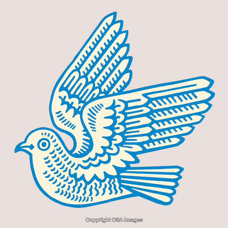 Blue and White Dove Illustration with Bold Line Art Style