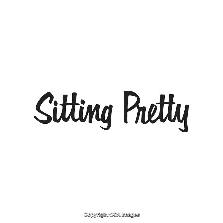 Hand-Drawn Decorative Font Displaying the Text 'Sitting Pretty' in Black Ink