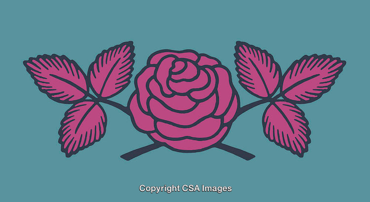 Vibrant Vector Illustration of Pink Rose with Leaves on Teal Background