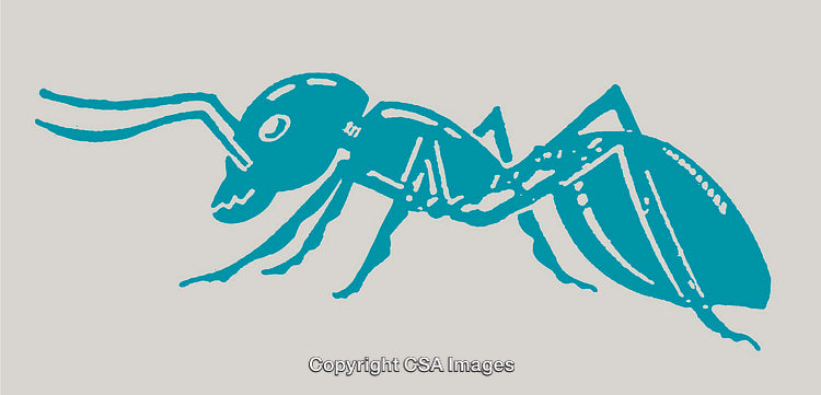 Abstract Line Art Illustration of a Blue Ant in a Clean Design