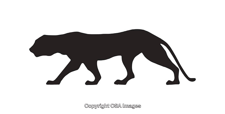Black Silhouette of a Panther in a Stealthy Prowling Stance
