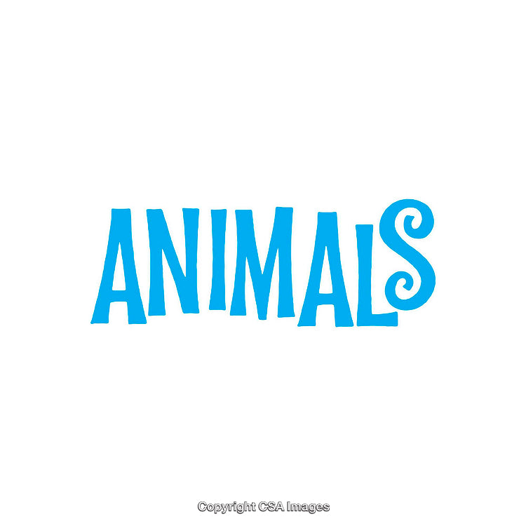 Blue Text Graphic Featuring the Word Animals with Decorative Lettering