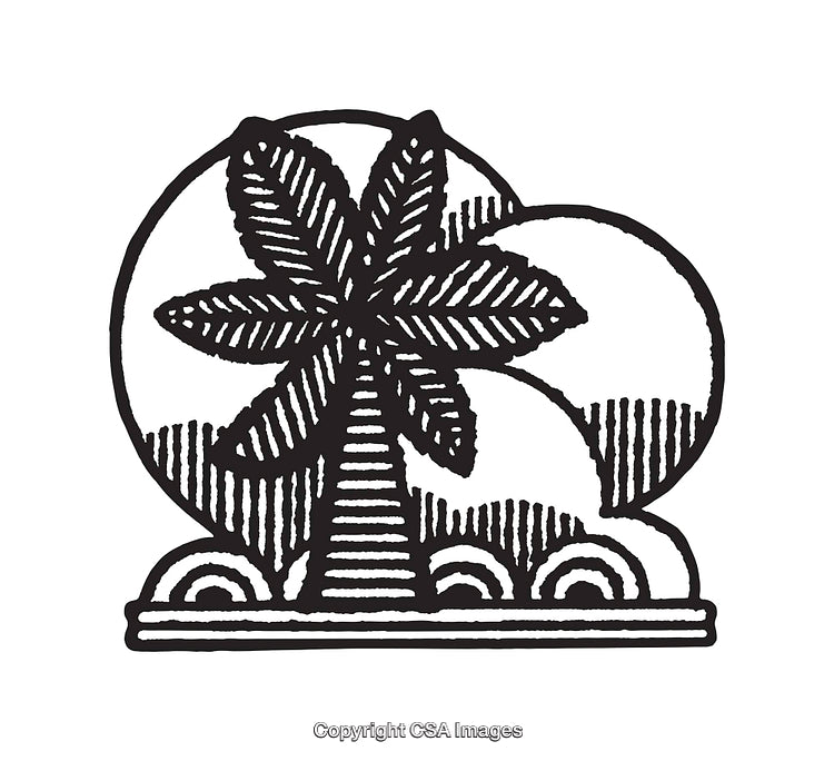 Black and White Line Art of Palm Tree and Sunrise Design