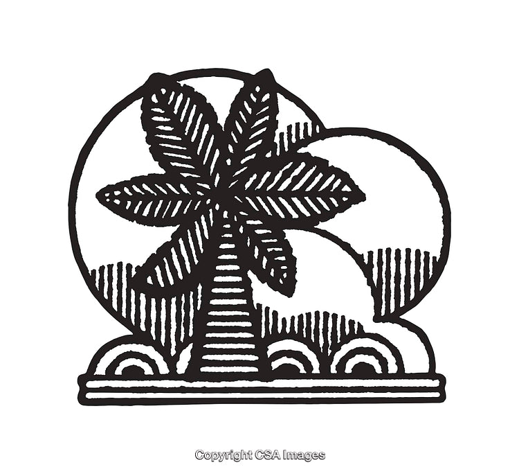 Black and White Line Art of Palm Tree and Sunrise Design