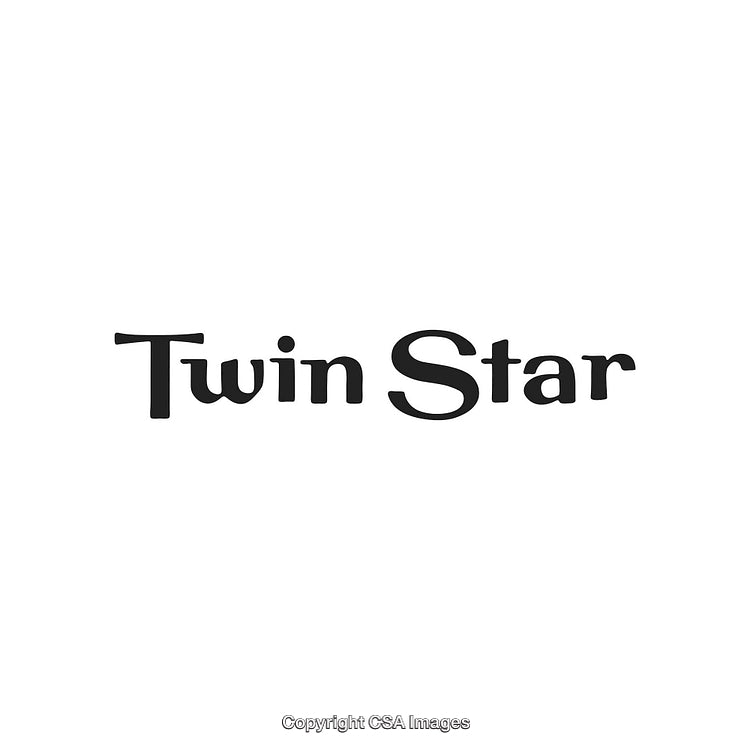 Elegant Twin Star Logo Design with Serif Font on White Background