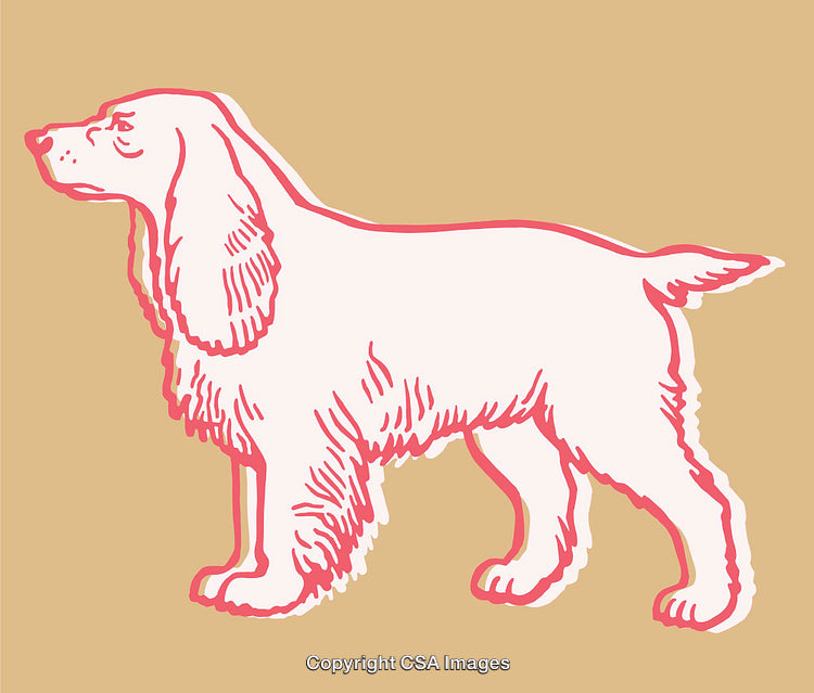 Vintage Line Art Illustration of a Spaniel Dog in Soft Pastel Colors