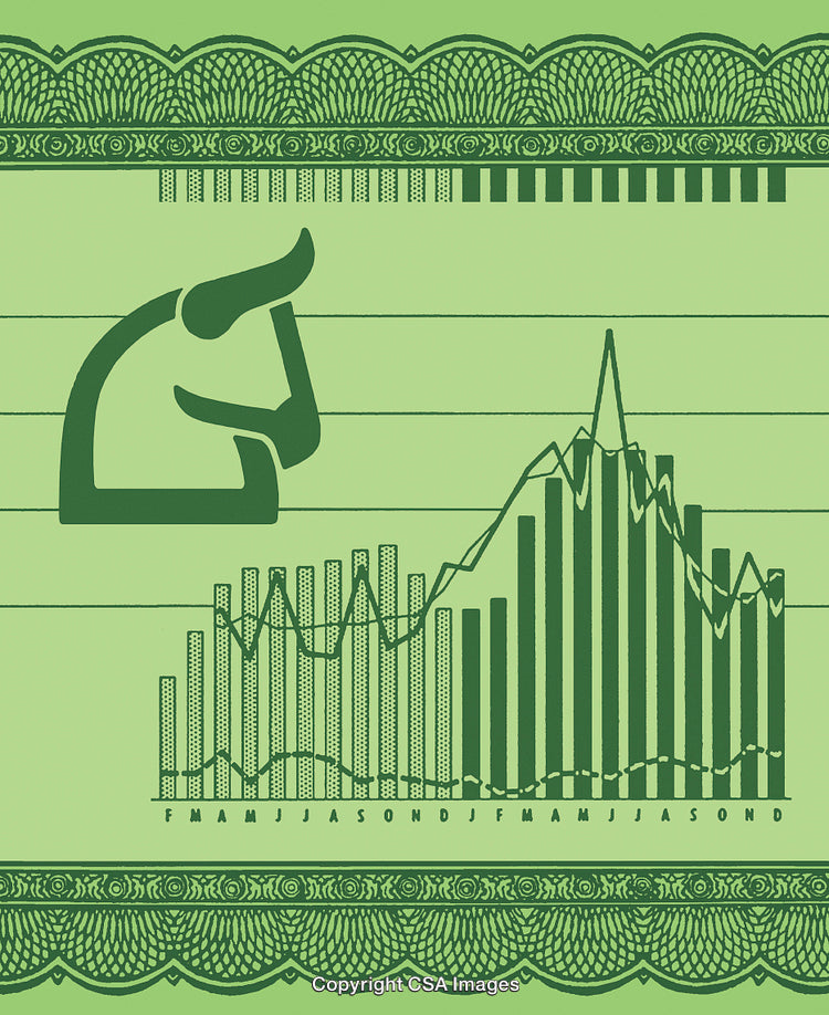 Bull Stock Market