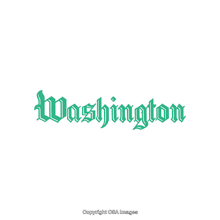 Vintage Green Typography Featuring 'Washington' in Traditional Lettering Style