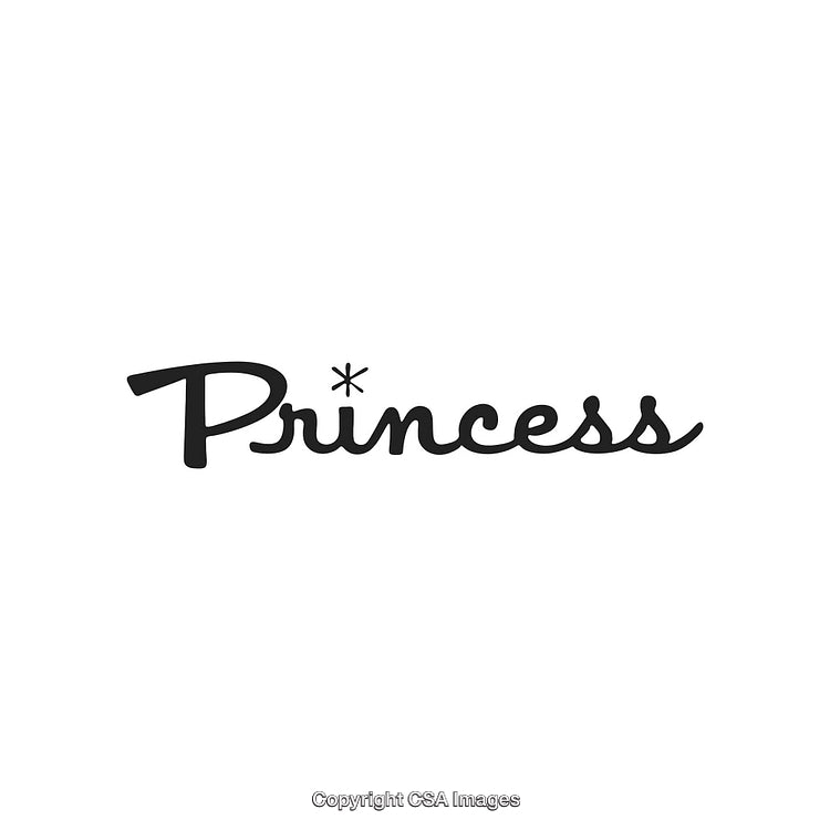 Elegant Black Text Logo Featuring the Word 'Princess' With a Stylish Design