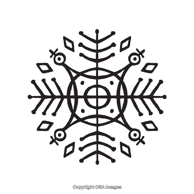 Intricate Black and White Symbolic Design With Geometrical and Nature Elements