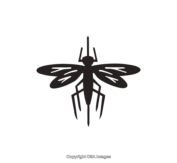 Black and White Silhouette of a Mosquito in Line Art Style