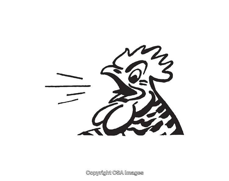 Black and White Line Art of a Crowing Rooster Illustration