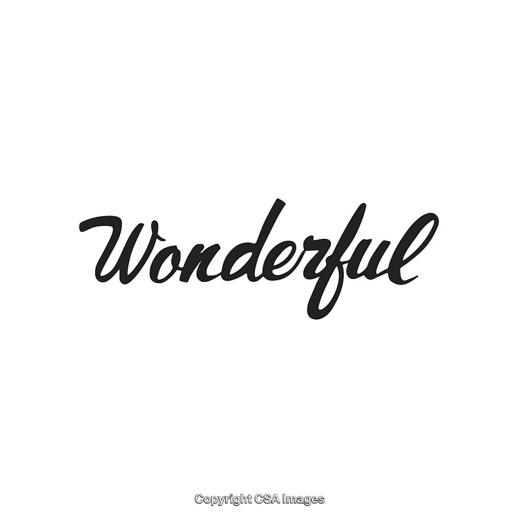 Beautiful Script Typography Displaying the Word 'Wonderful' on White Background