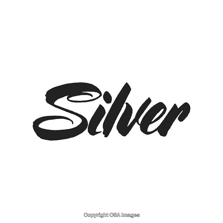 Elegant Black Calligraphy Design Reading 'Silver' on a White Background