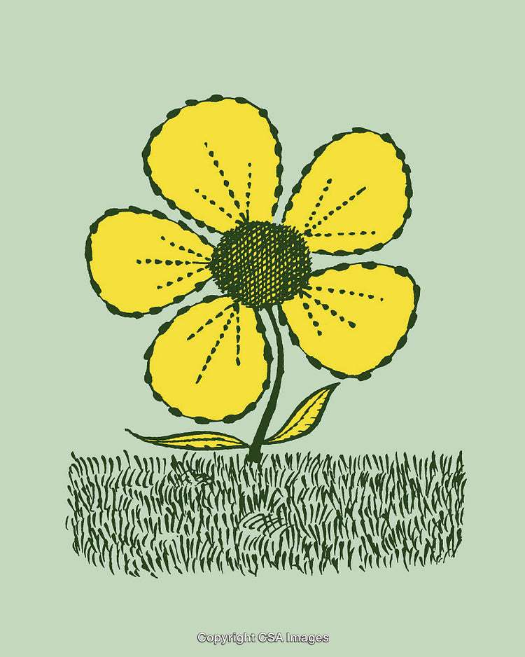 Illustrated Yellow Flower with Green Background in Vintage Style Line Art