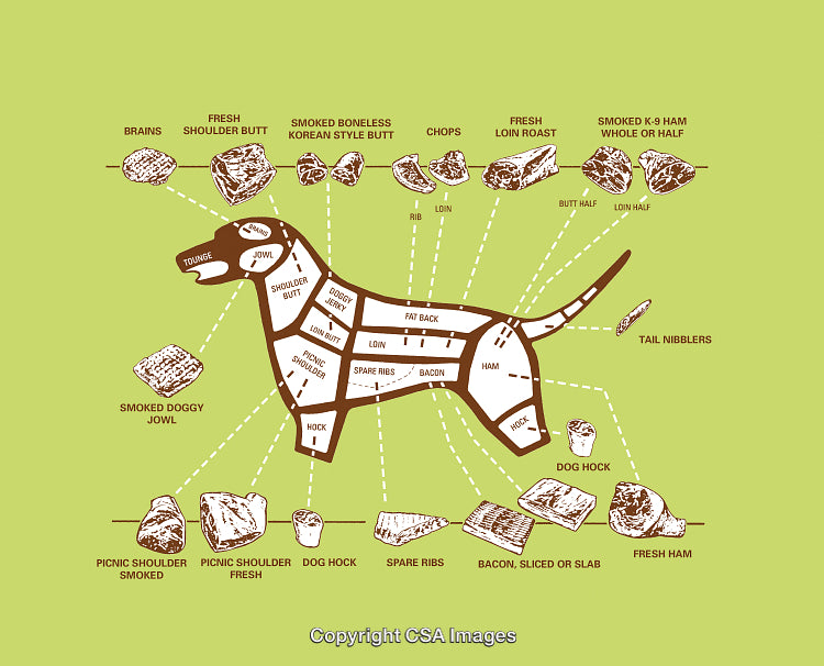 Humorous Butcher Diagram Featuring Cuts of Meat on Dog Silhouette