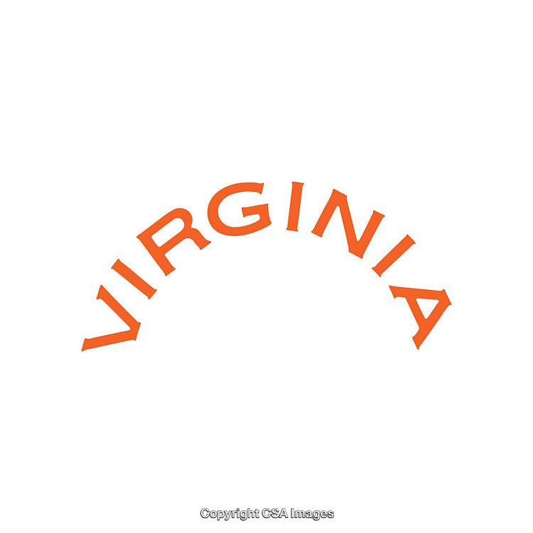 Bold Orange Virginia Text Design on White Background