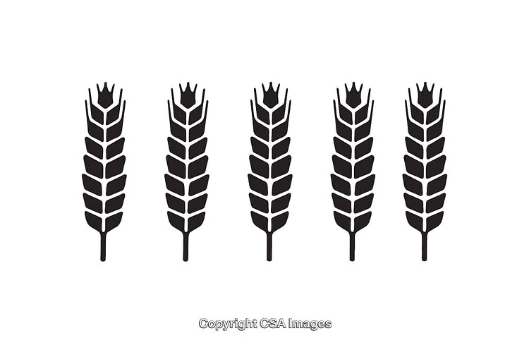 Simple Black and White Icons of Wheat Shapes in a Row