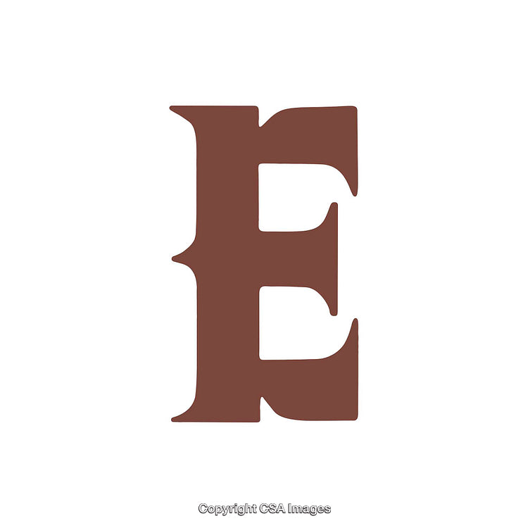 Illustration of Stylized Brown Letter E on White Background for Design Use
