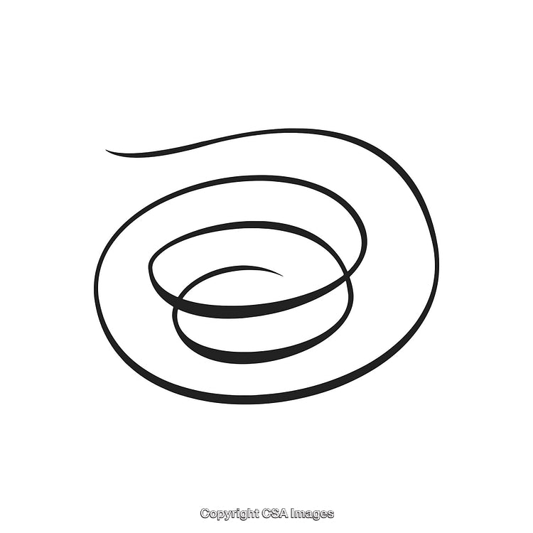 Minimalist Black and White Spiral Line Decorative Design Illustration