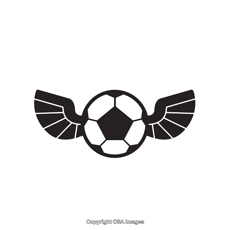 Black and White Flying Soccer Ball Icon with Wing Design