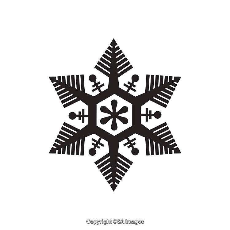 Black and White Snowflake Shape Design With Geometric Details