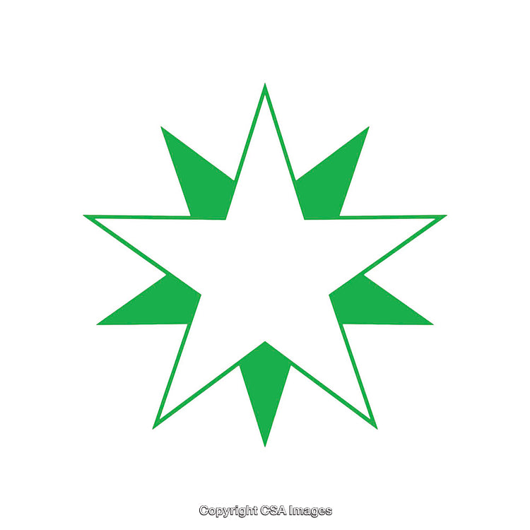 Green Stylized Eight-Point Star Design on a White Background