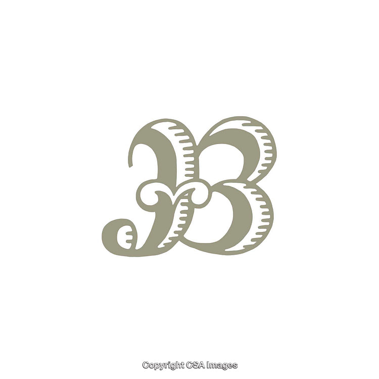 Ornamental Stylized Letter B with Decorative Details