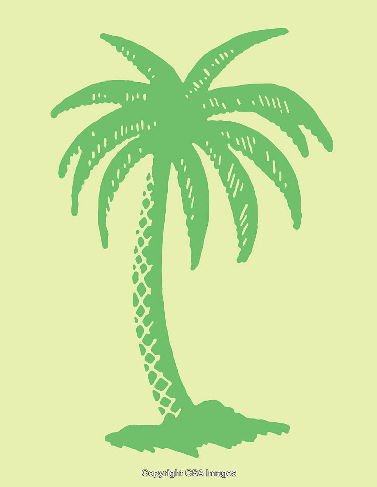 Green Palm Tree Illustration with Tropical Theme on Yellow Background