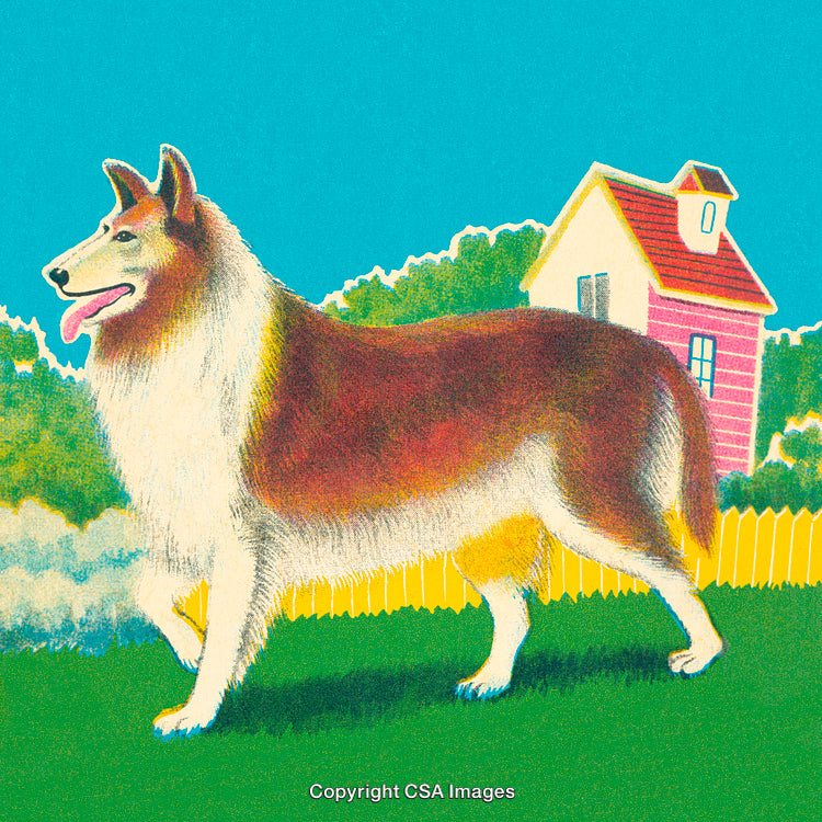 Artistic Illustration of a Collie Dog in a Serene Countryside Setting