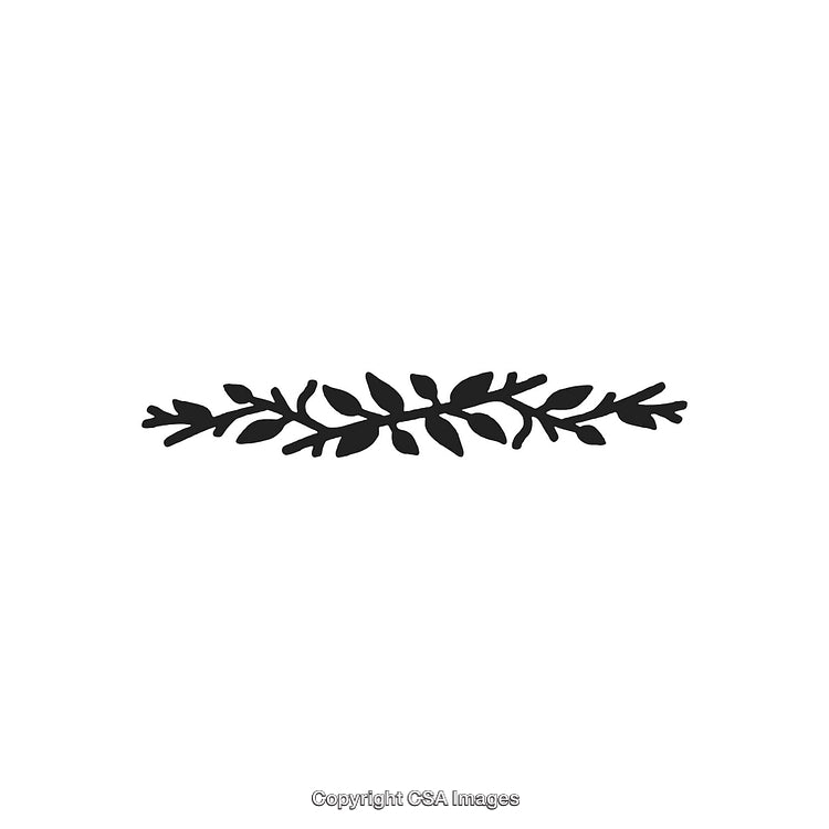 Decorative Black And White Floral Ornament Design Element on White Background