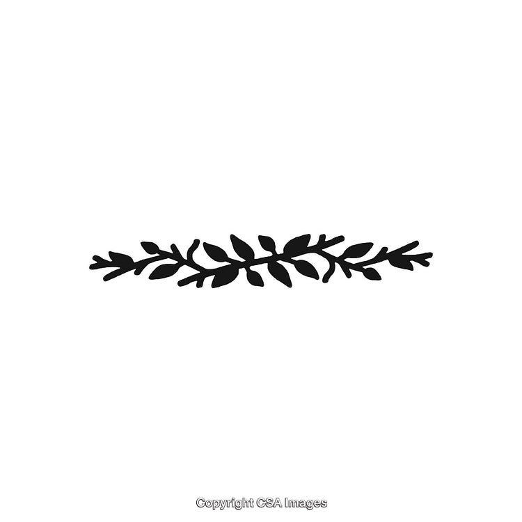 Decorative Black And White Floral Ornament Design Element on White Background