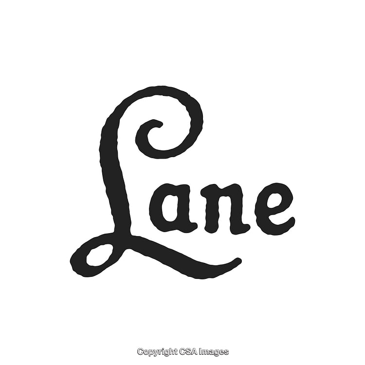Elegant Vintage-Style Text Logo with Decorative Serif Typeface Design