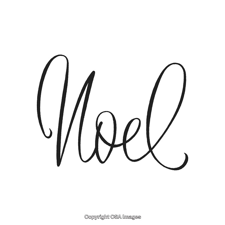 Elegant Calligraphy Noel Holiday Text Design on White Background