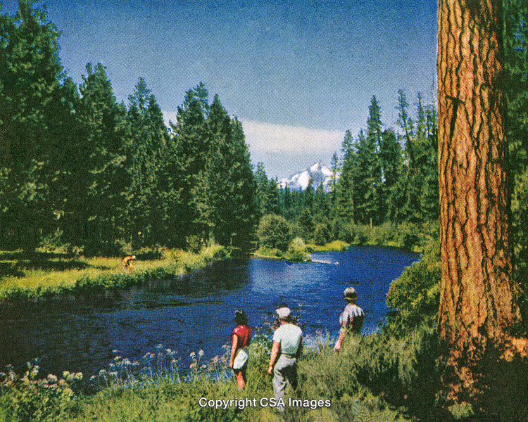 Group Hiking Along a Scenic River in the Forested Landscape with Mountains