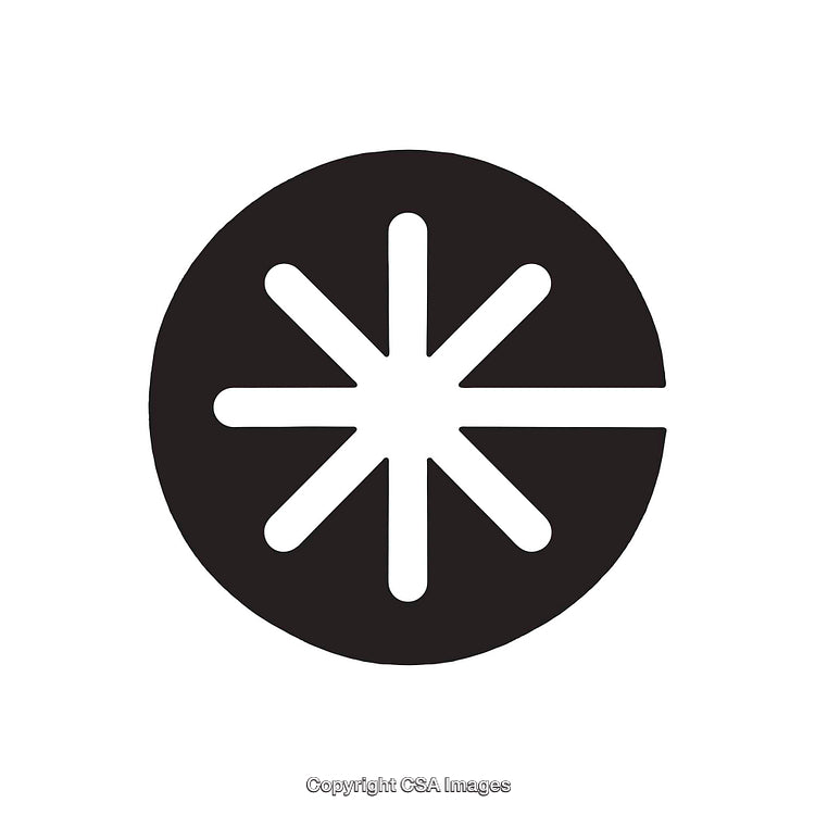 Black And White Minimal Dingbat with Starburst Design in Circle