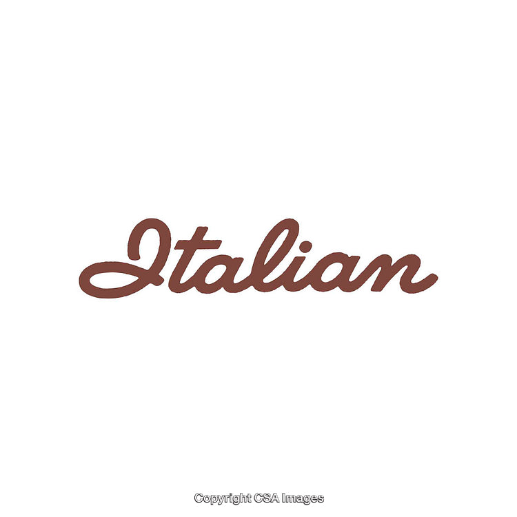Italian Script Text in Stylish Brown on a White Background