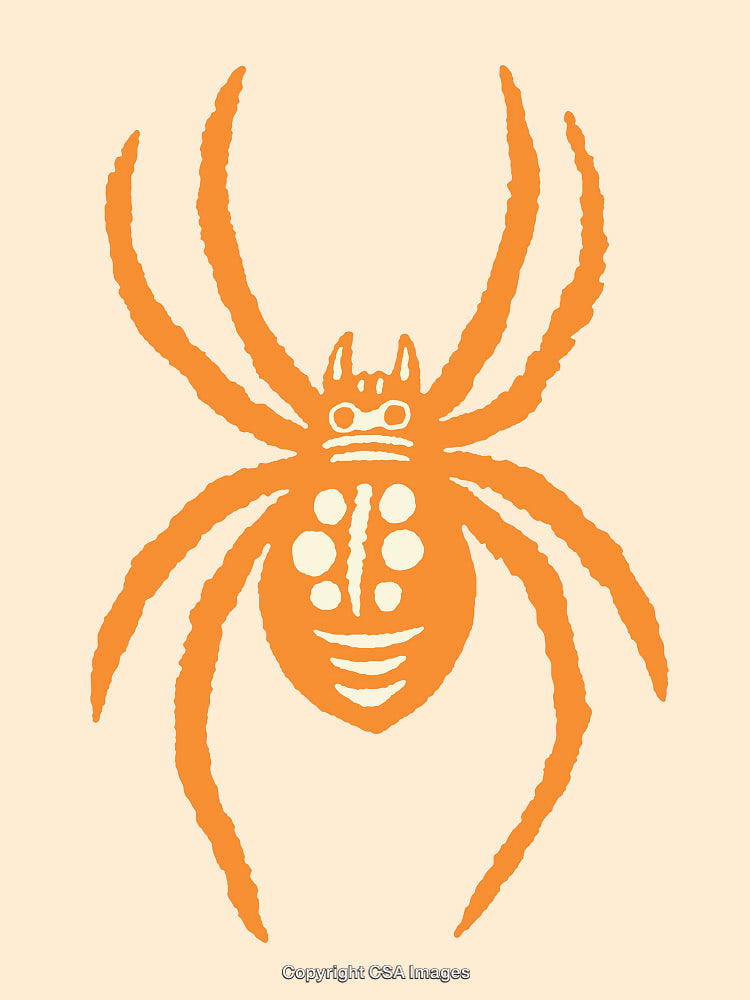 Orange Spider Illustration On Cream Background with Simple Line Art Design