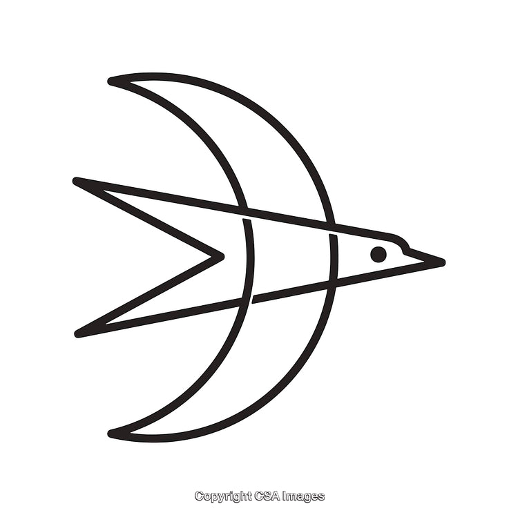 Minimalist Line Art Illustration Featuring a Bird and Crescent Moon