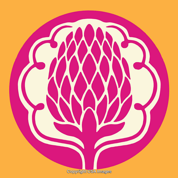 Colorful Floral Line Art Illustration with Bold Patterns and Vibrant Colors