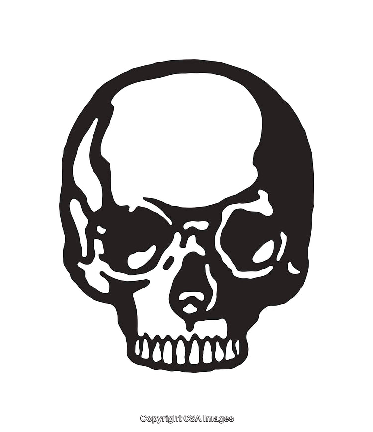 Black and White Skull Line Art Illustration on White Background